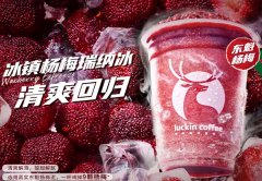 瑞幸咖啡我开{行业}的经历分享，想要开店如何入手？