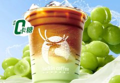 瑞幸咖啡加盟怎么样 有什么加盟优势